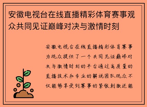 安徽电视台在线直播精彩体育赛事观众共同见证巅峰对决与激情时刻