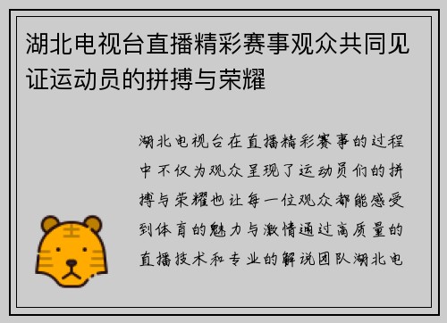 湖北电视台直播精彩赛事观众共同见证运动员的拼搏与荣耀