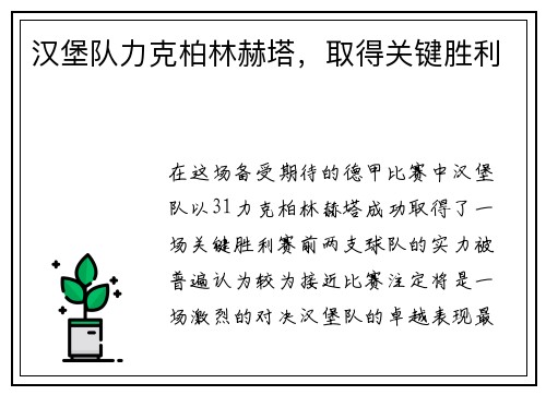 汉堡队力克柏林赫塔，取得关键胜利